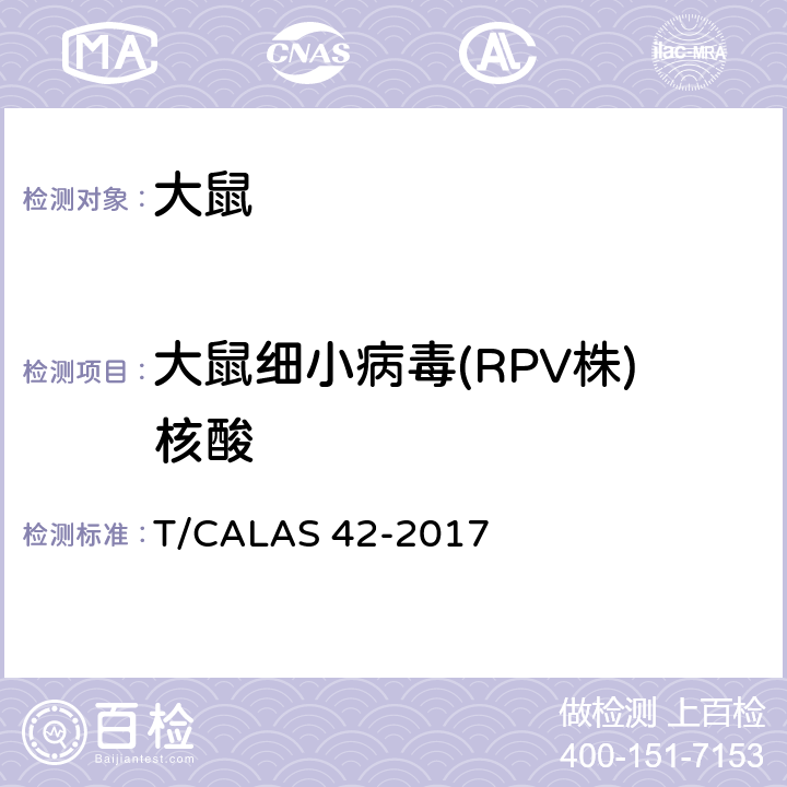 大鼠细小病毒(RPV株)核酸 AS 42-2017 实验动物 大鼠细小病毒RMV株和RPV株检测方法 T/CAL