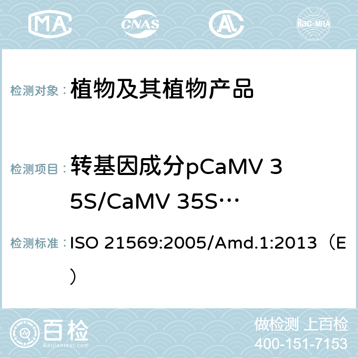 转基因成分pCaMV 35S/CaMV 35S/P-35S基因 食品—转基因产品及转基因源加工产品的检测方法—基于核酸的定性方法 修正案1 ISO 21569:2005/Amd.1:2013（E）