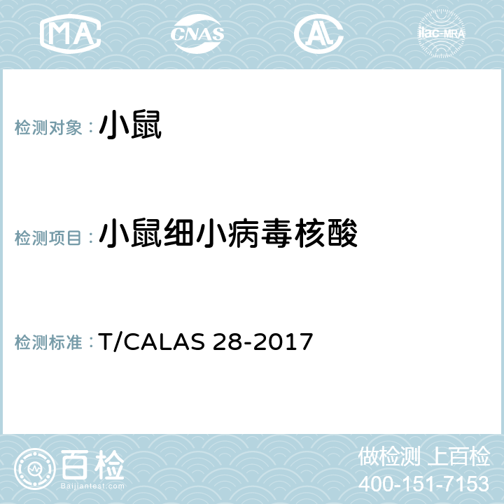 小鼠细小病毒核酸 实验动物 小鼠细小病毒MVM株PCR检测方法 T/CALAS 28-2017
