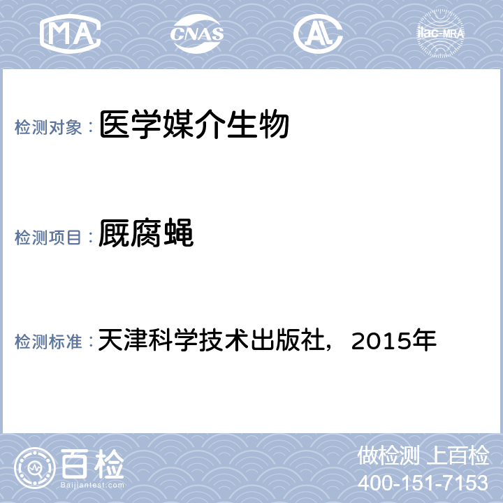 厩腐蝇 《中国国境口岸医学媒介生物鉴定图谱》 天津科学技术出版社，2015年 P251