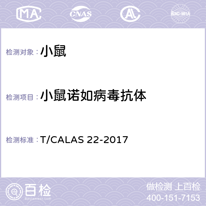 小鼠诺如病毒抗体 实验动物 小鼠诺如病毒检测方法 T/CALAS 22-2017 5