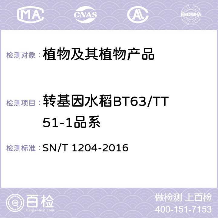 转基因水稻BT63/TT51-1品系 植物及其加工产品中转基因成分实时荧光PCR定性检验方法 SN/T 1204-2016