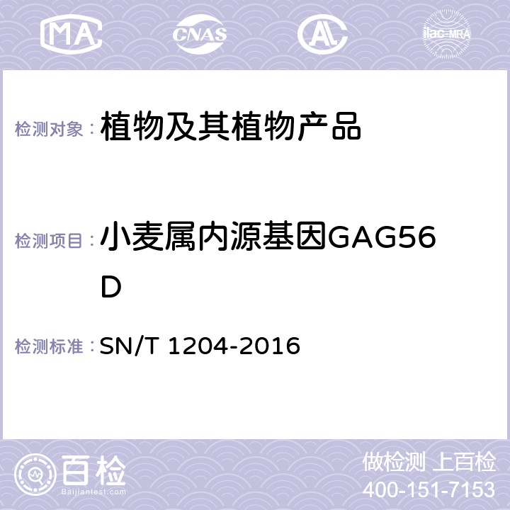 小麦属内源基因GAG56D SN/T 1204-2016 植物及其加工产品中转基因成分实时荧光PCR定性检验方法