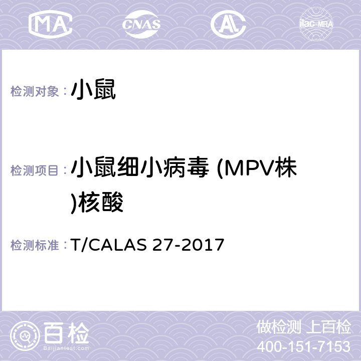 小鼠细小病毒 (MPV株)核酸 AS 27-2017 实验动物 小鼠细小病毒MPV株PCR检测方法 T/CAL