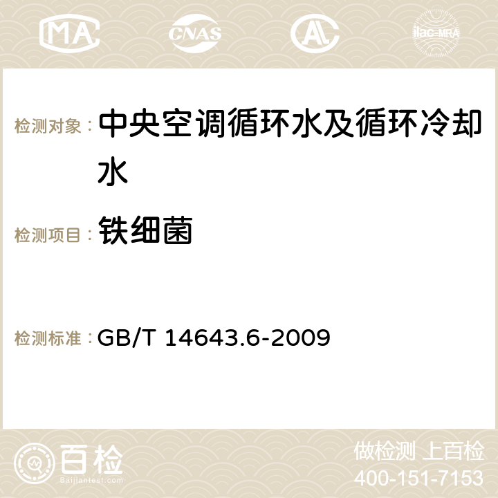 铁细菌 工业循环冷却水中铁细菌的测定 MPN法 GB/T 14643.6-2009