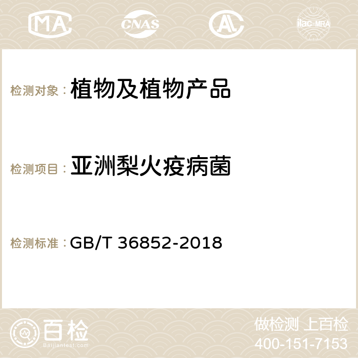 亚洲梨火疫病菌 亚洲梨火疫病检疫鉴定方法 GB/T 36852-2018