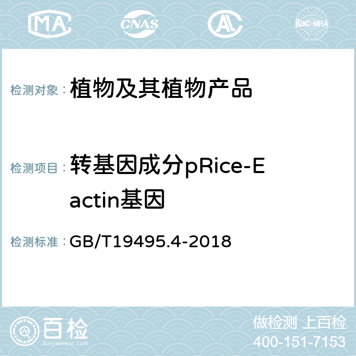 转基因成分pRice-Eactin基因 转基因产品检测实时荧光定性聚合酶链式反应（PCR）检测方法 GB/T19495.4-2018