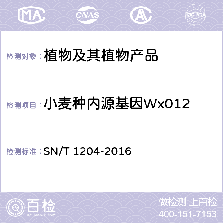 小麦种内源基因Wx012 植物及其加工产品中转基因成分实时荧光PCR定性检验方法 SN/T 1204-2016