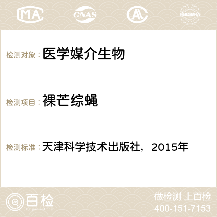 裸芒综蝇 《中国国境口岸医学媒介生物鉴定图谱》 天津科学技术出版社，2015年 P252