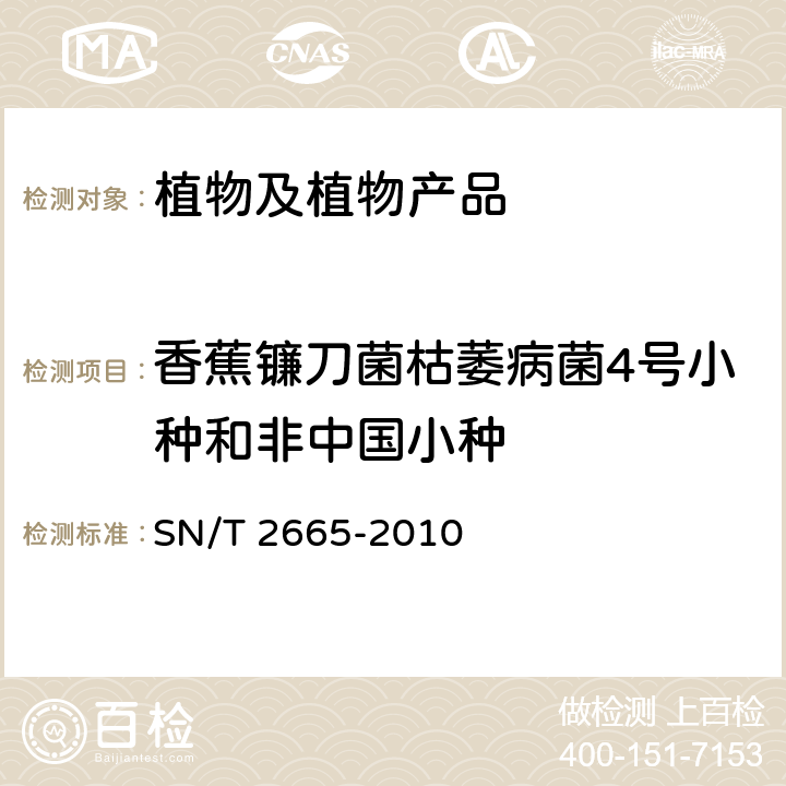 香蕉镰刀菌枯萎病菌4号小种和非中国小种 香蕉枯萎病菌检疫鉴定方法 SN/T 2665-2010