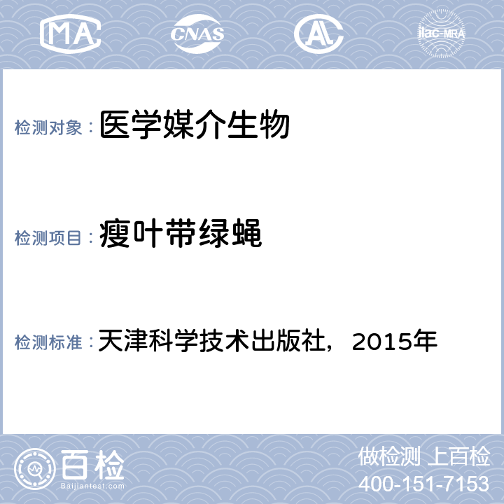 瘦叶带绿蝇 《中国国境口岸医学媒介生物鉴定图谱》 天津科学技术出版社，2015年 P295
