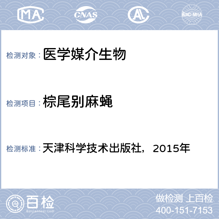 棕尾别麻蝇 《中国国境口岸医学媒介生物鉴定图谱》 天津科学技术出版社，2015年 P318