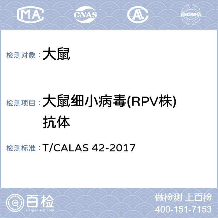 大鼠细小病毒(RPV株)抗体 实验动物 大鼠细小病毒RMV株和RPV株检测方法 T/CALAS 42-2017 5