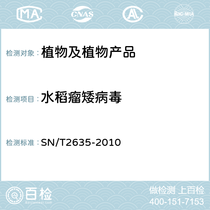 水稻瘤矮病毒 水稻瘤矮病毒的检疫鉴定方法 SN/T2635-2010