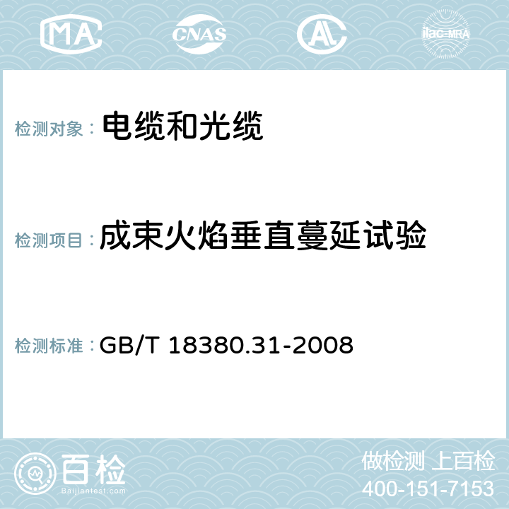 成束火焰垂直蔓延试验 电缆和光缆在火焰条件下的燃烧试验 第31部分：垂直安装的成束电线电缆火焰垂直蔓延试验 试验装置 GB/T 18380.31-2008