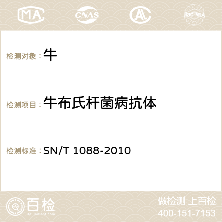 牛布氏杆菌病抗体 布氏杆菌检疫技术规范 SN/T 1088-2010