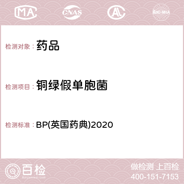 铜绿假单胞菌 BP(英国药典)2020 BP(英国药典)2020 附录XVI B