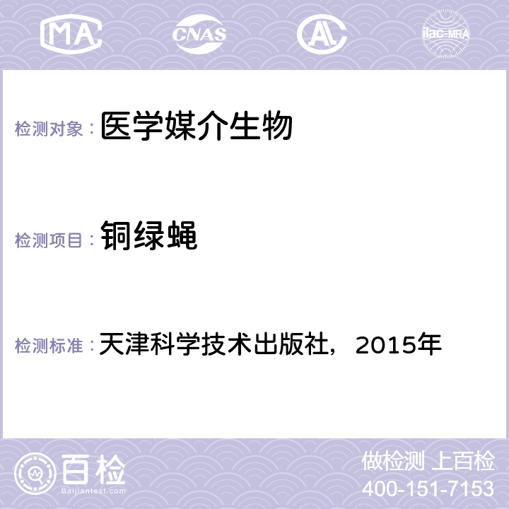 铜绿蝇 《中国国境口岸医学媒介生物鉴定图谱》 天津科学技术出版社，2015年 P294