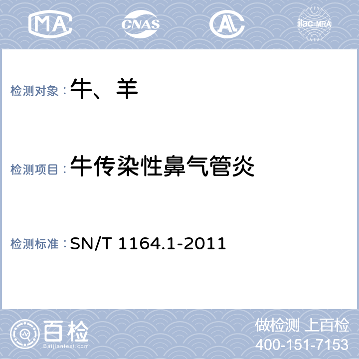 牛传染性鼻气管炎 牛传染性鼻气管炎病检疫技术规范 SN/T 1164.1-2011