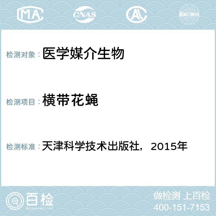 横带花蝇 天津科学技术出版社，2015年 《中国国境口岸医学媒介生物鉴定图谱》  P235