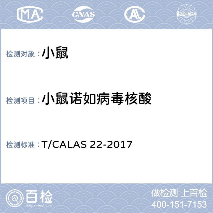 小鼠诺如病毒核酸 AS 22-2017 实验动物 小鼠诺如病毒检测方法 T/CAL 6,8