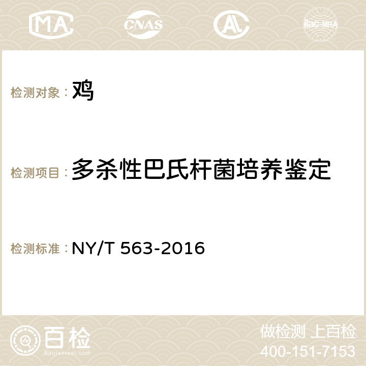 多杀性巴氏杆菌培养鉴定 禽霍乱（禽巴氏杆菌病）诊断技术 NY/T 563-2016