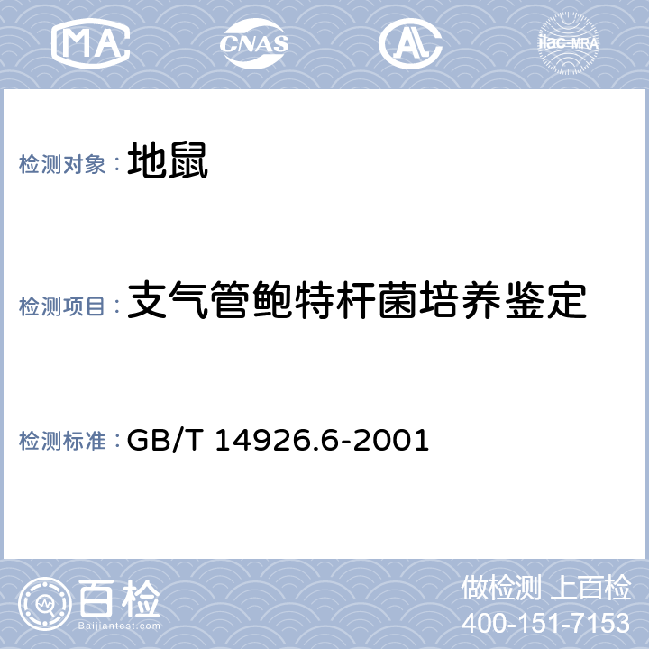 支气管鲍特杆菌培养鉴定 实验动物 支气管鲍特杆菌检测方法 GB/T 14926.6-2001