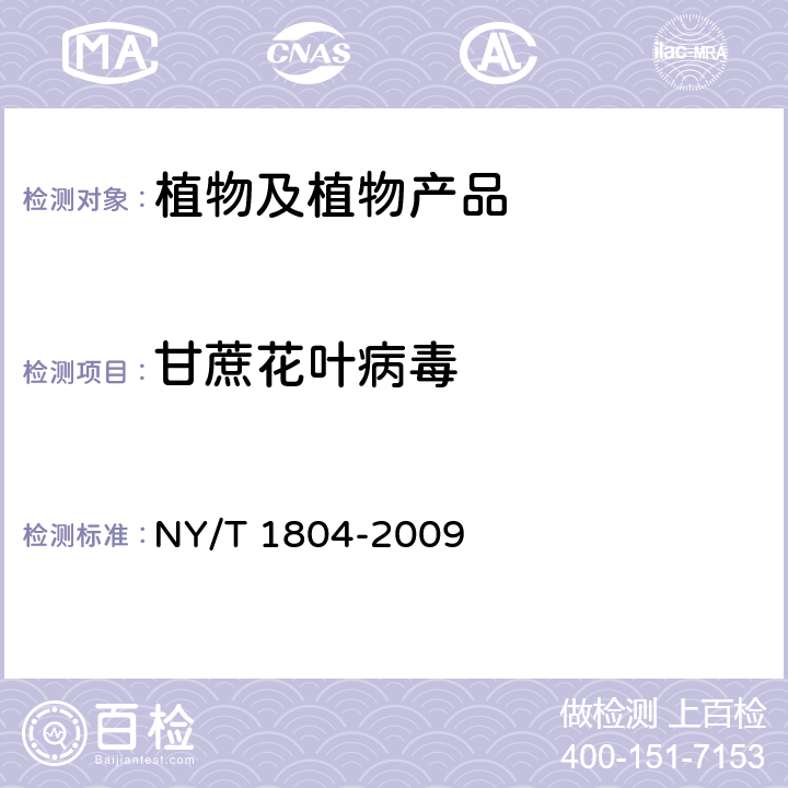 甘蔗花叶病毒 甘蔗花叶病毒检测技术规范 NY/T 1804-2009
