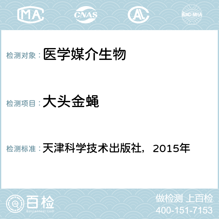 大头金蝇 《中国国境口岸医学媒介生物鉴定图谱》 天津科学技术出版社，2015年 P304