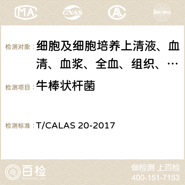 牛棒状杆菌 实验动物 牛棒状杆菌检测方法 T/CALAS 20-2017