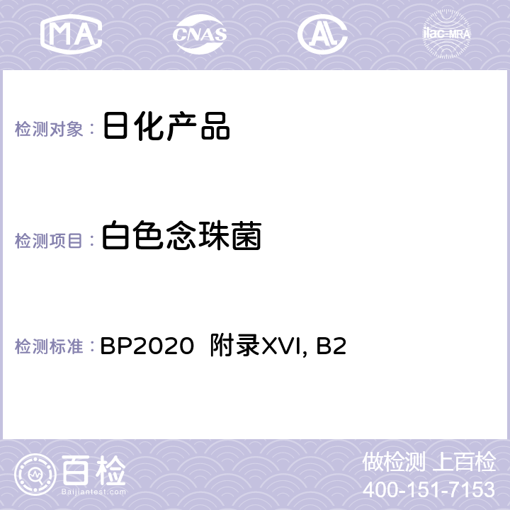 白色念珠菌 英国药典2020版 附录XVI, B2 BP2020 附录XVI, B2