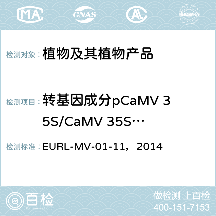 转基因成分pCaMV 35S/CaMV 35S/P-35S基因 EURL-MV-01-11，2014 中国原产地转基因水稻检测修订指南 实时荧光 PCR方法检测P-35S、T-nos和Cry1Ab / Ac基因 