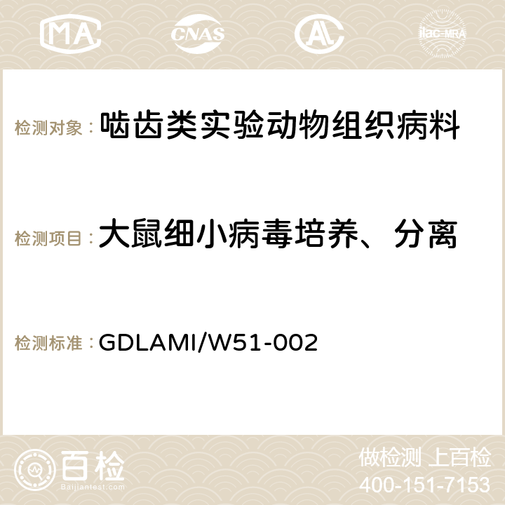 大鼠细小病毒培养、分离 DLAMI/W 51-002 病毒分离培养操作规程 GDLAMI/W51-002 7
