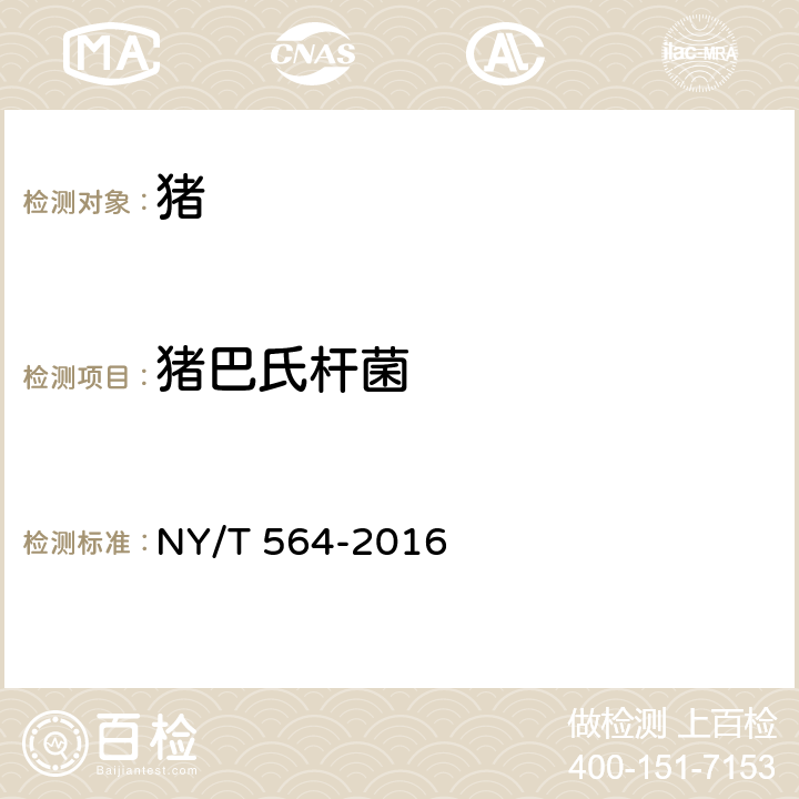 猪巴氏杆菌 NY/T 564-2016 猪巴氏杆菌病诊断技术