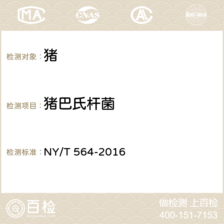 猪巴氏杆菌 猪巴氏杆菌病诊断技术 NY/T 564-2016