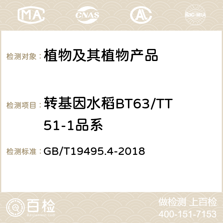 转基因水稻BT63/TT51-1品系 转基因产品检测实时荧光定性聚合酶链式反应（PCR）检测方法 GB/T19495.4-2018