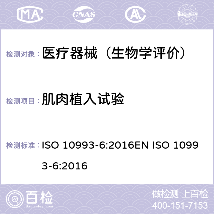 肌肉植入试验 医疗器械生物学评价 第6部分：植入后局部反应试验 ISO 10993-6:2016EN ISO 10993-6:2016