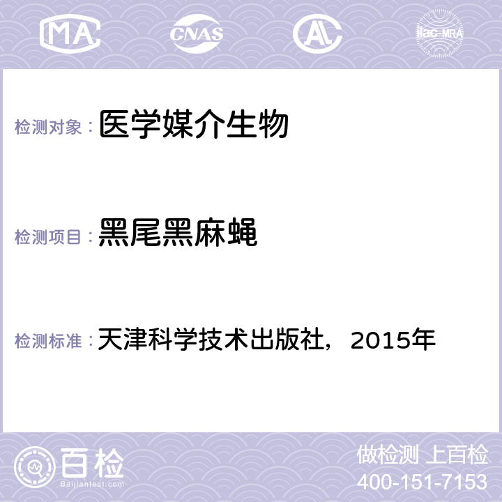 黑尾黑麻蝇 《中国国境口岸医学媒介生物鉴定图谱》 天津科学技术出版社，2015年 P311