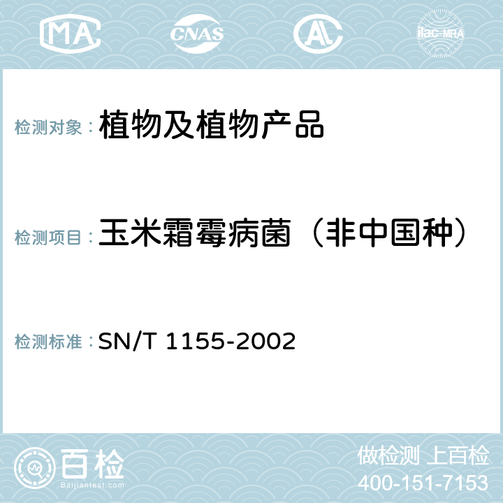 玉米霜霉病菌（非中国种） 玉米霜霉病菌检疫鉴定方法 SN/T 1155-2002