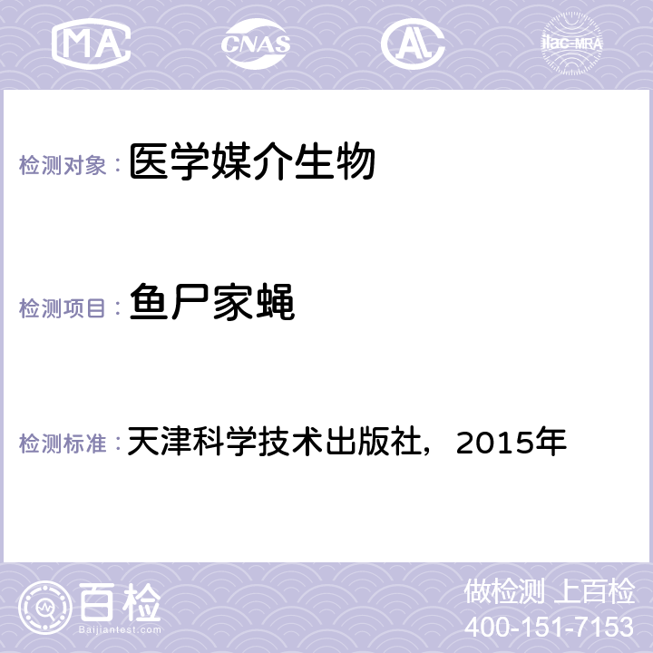 鱼尸家蝇 《中国国境口岸医学媒介生物鉴定图谱》 天津科学技术出版社，2015年 P265