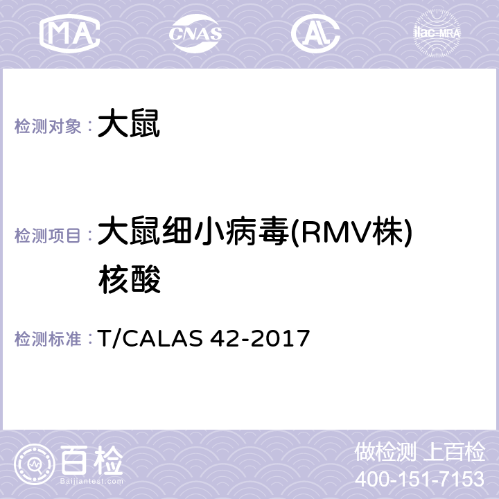 大鼠细小病毒(RMV株)核酸 实验动物 大鼠细小病毒RMV株和RPV株检测方法 T/CALAS 42-2017