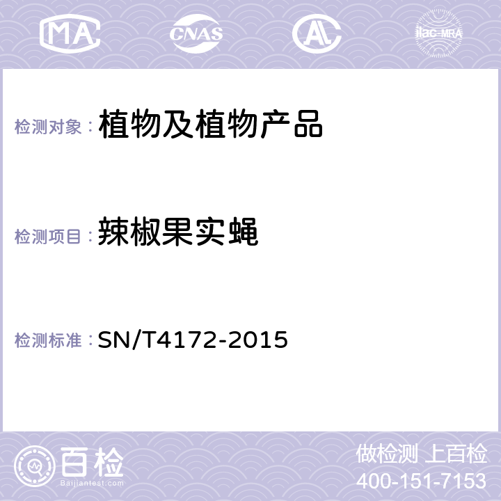 辣椒果实蝇 辣椒实蝇检疫鉴定方法 SN/T4172-2015