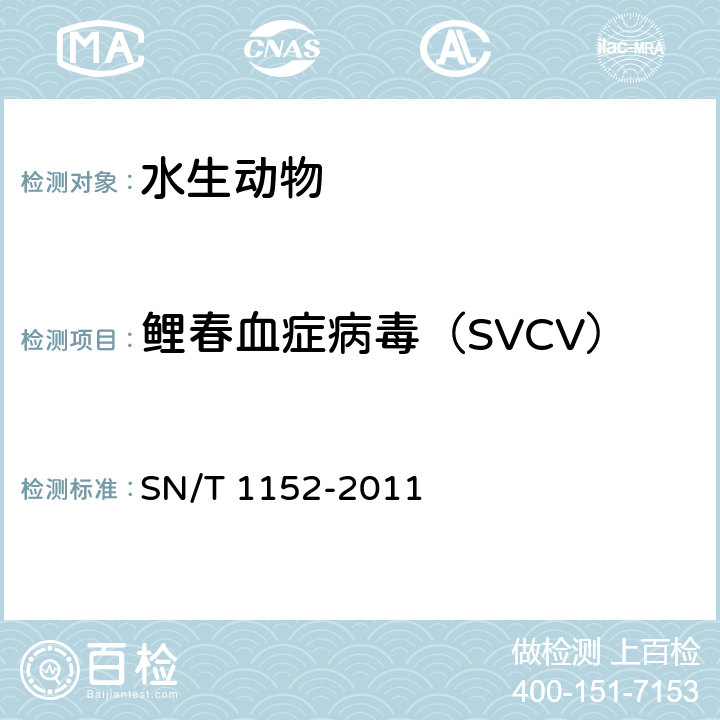 鲤春血症病毒（SVCV） 鲤春病毒血症检疫技术规范 SN/T 1152-2011
