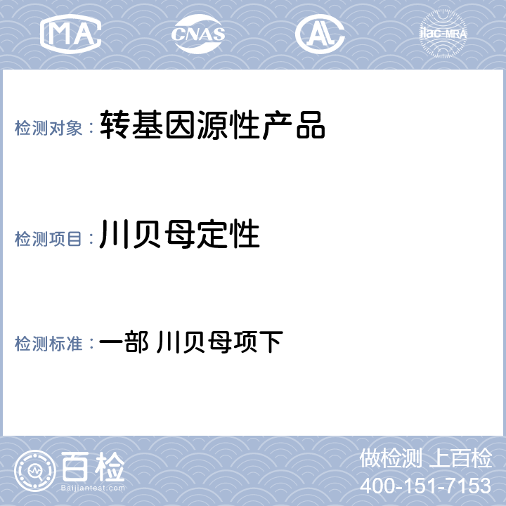 川贝母定性 中国药典 《》（2020年版） 一部 川贝母项下