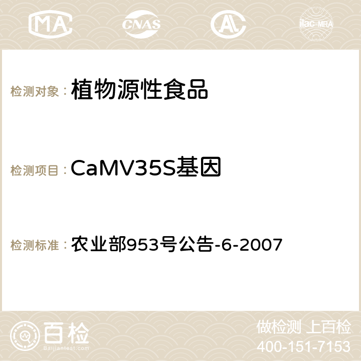 CaMV35S基因 转基因植物及其产品成分检测抗虫转Bt基因水稻定性PCR方法 农业部953号公告-6-2007