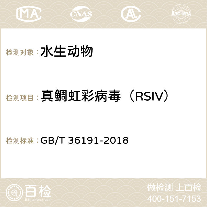 真鲷虹彩病毒（RSIV） 真鲷虹彩病毒病诊断规程 GB/T 36191-2018