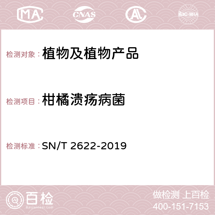 柑橘溃疡病菌 柑橘溃疡病菌检疫鉴定方法 SN/T 2622-2019