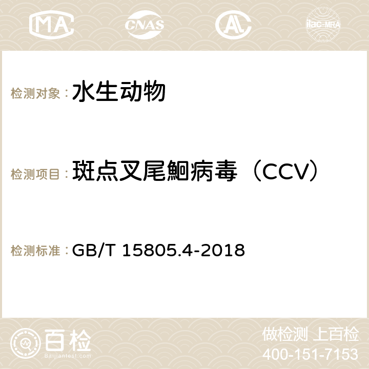 斑点叉尾鮰病毒（CCV） 斑点叉尾鮰病毒诊断规程 GB/T 15805.4-2018