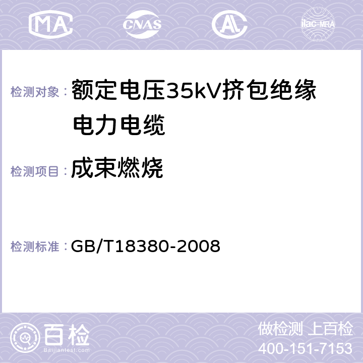 成束燃烧 电缆和光缆在火焰条件下的燃烧试验 GB/T18380-2008