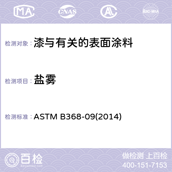 盐雾 铜-加速醋酸盐水喷雾试验（CASS试验）的试验方法 ASTM B368-09(2014)